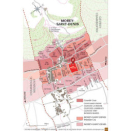 Morey-Saint-Denis 1er Cru Les Millandes