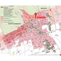 Gevrey-Chambertin 1er Cru Les Petits Cazetiers