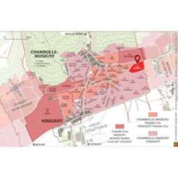 Chambolle-Musigny 1er Cru Les Sentiers
