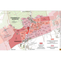 Chambolle-Musigny 1er Cru Les Hauts Doix
