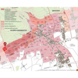 Gevrey-Chambertin 1er Cru Aux Combottes