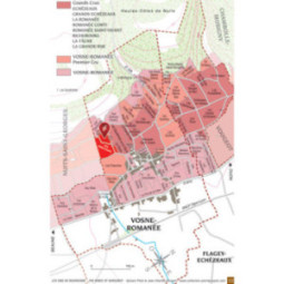 Vosne-Romanée 1er Cru Aux Malconsorts