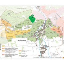 Meursault Les Vireuils