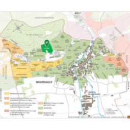 Meursault Les Tillets