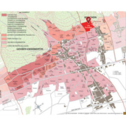 Gevrey-Chambertin Les Evocelles