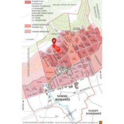 Vosne-Romanée 1er Cru Les Petits Monts
