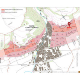 Nuits-Saint-Georges 1er Cru La Richemone