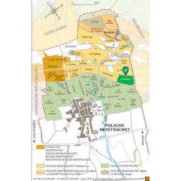 Puligny-Montrachet 1er Cru Les Referts