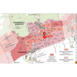 Chambolle-Musigny 1er Cru Les Plantes