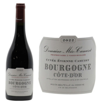 Bourgogne Côte d'Or Pinot Noir 