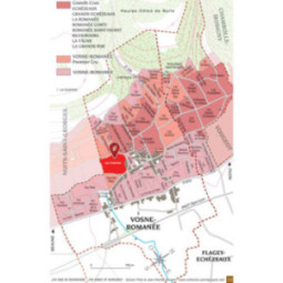 Vosne-Romanée 1er Cru Les Chaumes