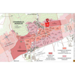 Chambolle-Musigny 1er Cru Les Fuées