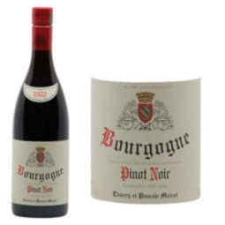 Bourgogne Pinot Noir