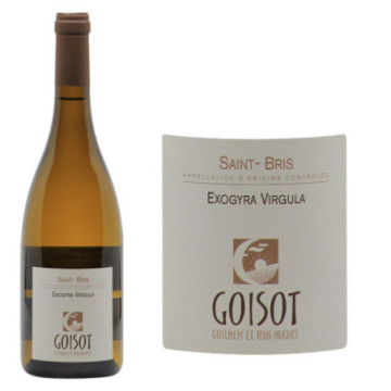 Saint-Bris "Exogyra Virgula"