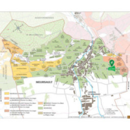 Meursault Les Criots