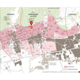 Marsannay Les Grasses Têtes