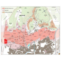 Beaune 1er Cru Les Epenottes