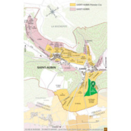 Saint-Aubin 1er Cru Sur Gamay