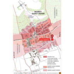 Morey-Saint-Denis 1er Cru Aux Cheseaux