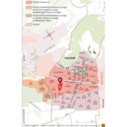 Volnay 1er Cru En Caillerets