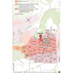 Volnay "Clos de la Cave"