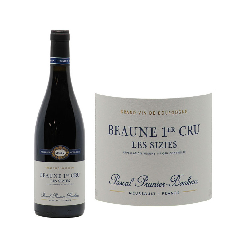 Beaune 1er Cru Les Sizies