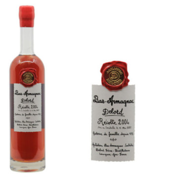 Bas-Armagnac Millésime