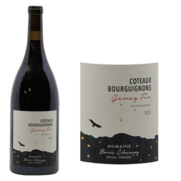 Côteaux Bourguignons Gamay