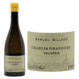 Chablis Grand Cru Vaudésir