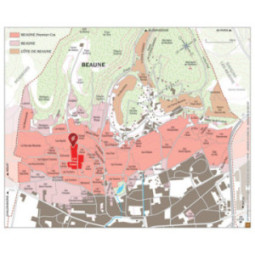 Beaune 1er Cru Les Sizies