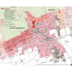Gevrey-Chambertin 1er Cru Craipillot