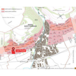 Nuits-Saint-Georges Les Poisets
