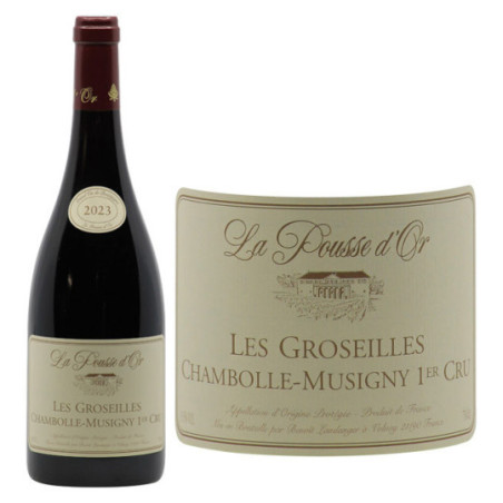 Chambolle-Musigny 1er Cru Les Groseilles 2023 - Domaine de la