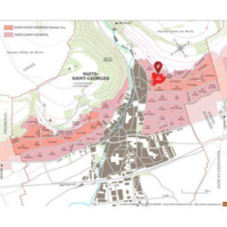 Nuits-Saint-Georges 1er Cru Clos de Thorey 'Monopole'