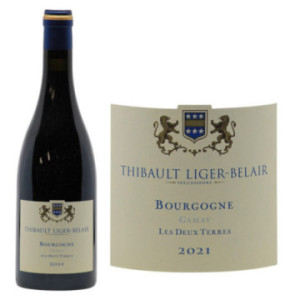 Bourgogne Gamay "Les 2 Terres"