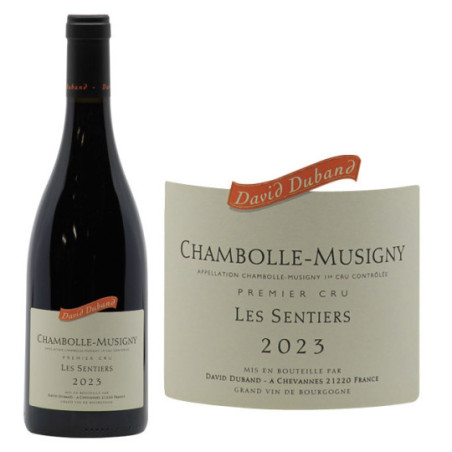 Chambolle-Musigny 1er Cru Les Sentiers 2023 - David Duband - Côte