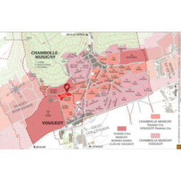 Vougeot 1er Cru Clos de La Perrière 'Monopole'