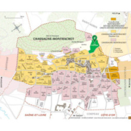 Chassagne-Montrachet 1er Cru Blanc Les Chaumées