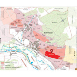 Santenay 1er Cru Blanc Clos des Gravières