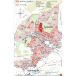Mercurey 1er Cru Blanc Champs Martin