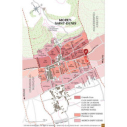 Morey-Saint-Denis 1er Cru Aux Charmes