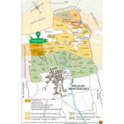 Chevalier-Montrachet