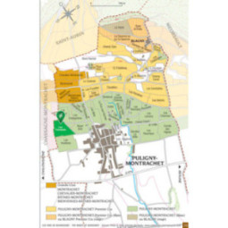 Puligny-Montrachet Les Tremblots "Haute Densité"