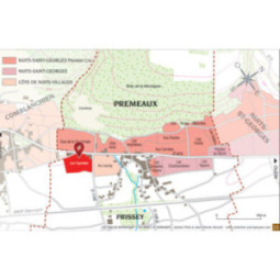 Côte de Nuits-Villages Les Vignottes