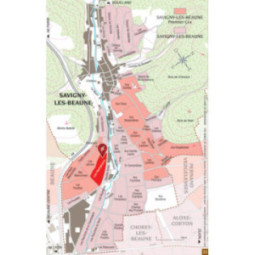 Savigny-les-Beaune 1er Cru Les Narbantons