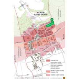 Morey-Saint-Denis 1er Cru Blanc Clos des Monts Luisants 'Monopole'