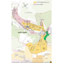 Saint-Aubin 1er Cru Les Champlots