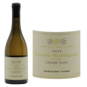 Puligny-Montrachet 1er Cru Les Champs Gains