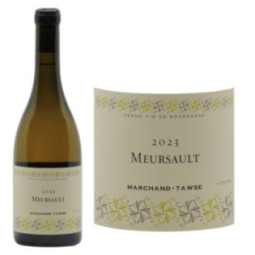 Meursault Blanc