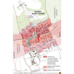 Morey-Saint-Denis 1er Cru Clos La Riotte